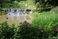 (97) 2010 Parc floral Apremont sur Allier